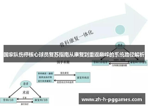 国家队伤停核心球员复苏指南从康复到重返巅峰的系统路径解析 国家队伤停核心球员复苏指南从康复到重返巅峰的系统路径解析