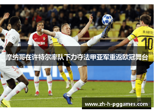 摩纳哥在许特尔率队下力夺法甲亚军重返欧冠舞台 摩纳哥在许特尔率队下力夺法甲亚军重返欧冠舞台